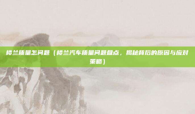 楼兰质量怎问题(楼兰汽车质量问题盘点,揭秘背后的原因与应对策略)