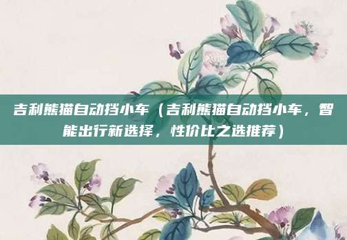 吉利熊猫自动挡小车(吉利熊猫自动挡小车,智能出行新选择,性价比之选推荐)