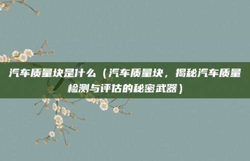 汽车质量块是什么(汽车质量块,揭秘汽车质量检测与评估的秘密武器)