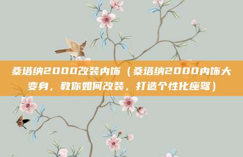 桑塔纳2000改装内饰(桑塔纳2000内饰大变身,教你如何改装,打造个性化座驾)