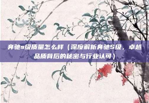 奔驰s级质量怎么样(深度解析奔驰S级,卓越品质背后的秘密与行业认可)