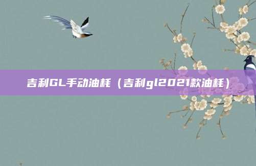 吉利GL手动油耗(吉利gl2021款油耗)