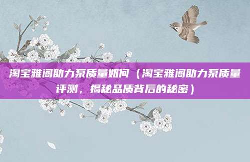 淘宝雅阁助力泵质量如何（淘宝雅阁助力泵质量评测，揭秘品质背后的秘密）