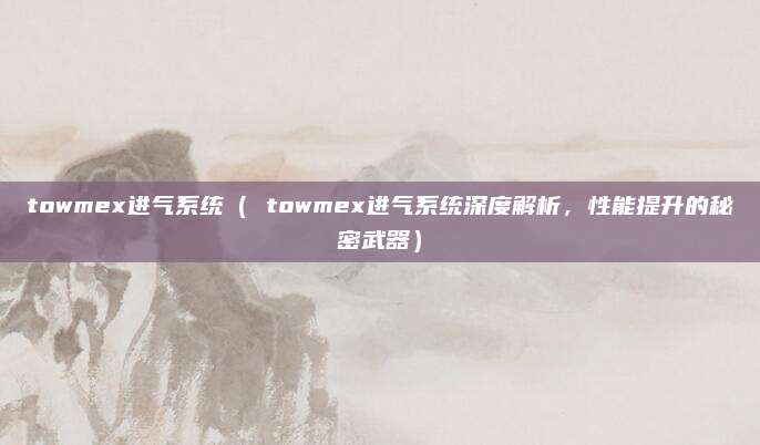 towmex进气系统( towmex进气系统深度解析,性能提升的秘密武器)
