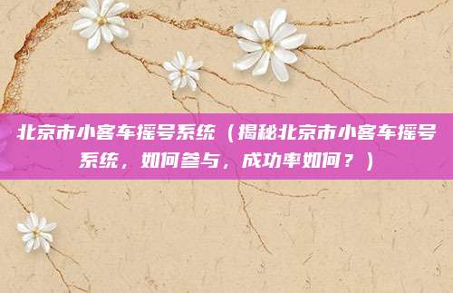 北京市小客车摇号系统(揭秘北京市小客车摇号系统,如何参与,成功率如何?)