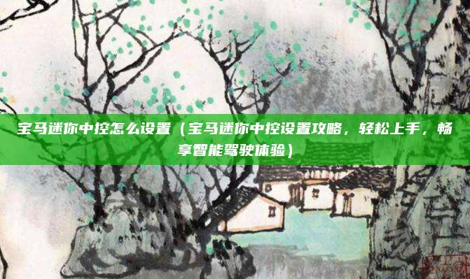 宝马迷你中控怎么设置(宝马迷你中控设置攻略,轻松上手,畅享智能驾驶体验)