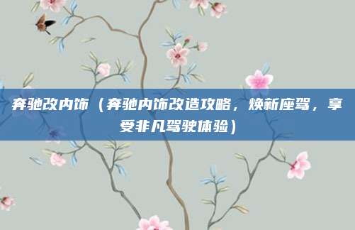 奔驰改内饰(奔驰内饰改造攻略,焕新座驾,享受非凡驾驶体验)