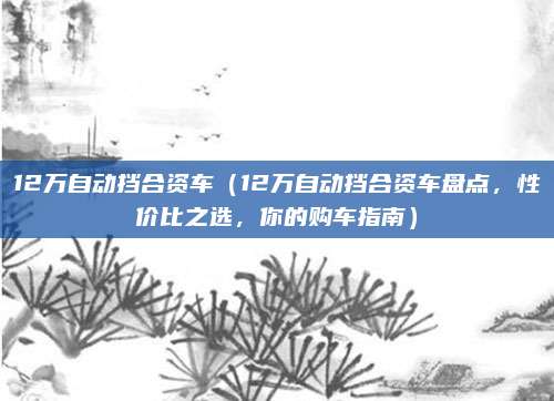 12万自动挡合资车(12万自动挡合资车盘点,性价比之选,你的购车指南)
