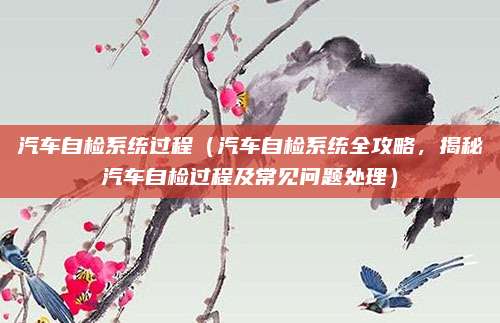 汽车自检系统过程(汽车自检系统全攻略,揭秘汽车自检过程及常见问题处理)