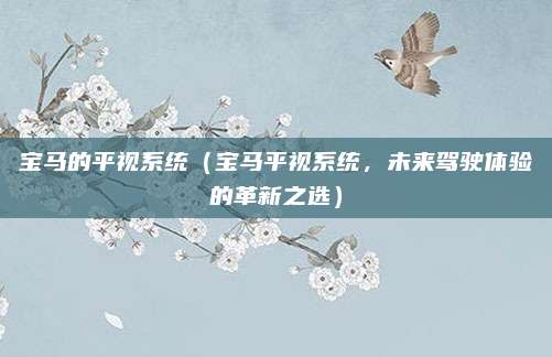 宝马的平视系统(宝马平视系统,未来驾驶体验的革新之选)