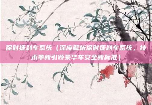 保时捷刹车系统(深度解析保时捷刹车系统,技术革新引领豪华车安全新标准)