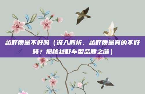 越野质量不好吗(深入解析,越野质量真的不好吗?揭秘越野车型品质之谜)