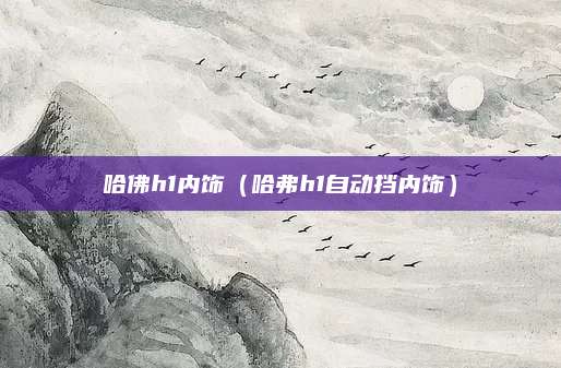 哈佛h1内饰(哈弗h1自动挡内饰)
