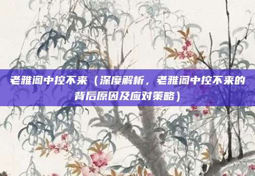 老雅阁中控不来(深度解析,老雅阁中控不来的背后原因及应对策略)