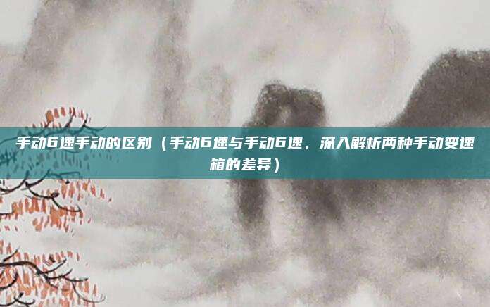 手动6速手动的区别(手动6速与手动6速,深入解析两种手动变速箱的差异)
