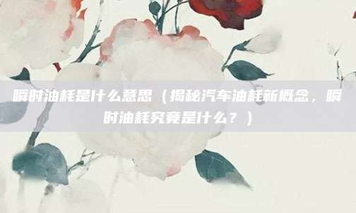 瞬时油耗是什么意思（揭秘汽车油耗新概念，瞬时油耗究竟是什么？）