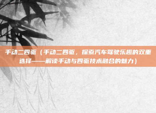 手动二四驱(手动二四驱,探索汽车驾驶乐趣的双重选择——解读手动与四驱技术融合的魅力)
