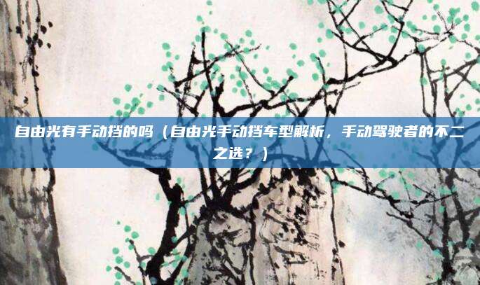 自由光有手动挡的吗(自由光手动挡车型解析,手动驾驶者的不二之选?)