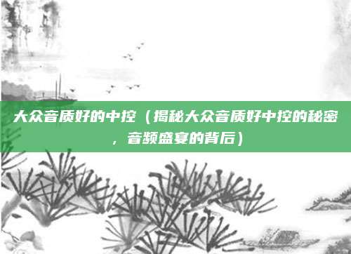 大众音质好的中控(揭秘大众音质好中控的秘密,音频盛宴的背后)