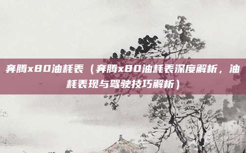 奔腾x80油耗表(奔腾x80油耗表深度解析,油耗表现与驾驶技巧解析)