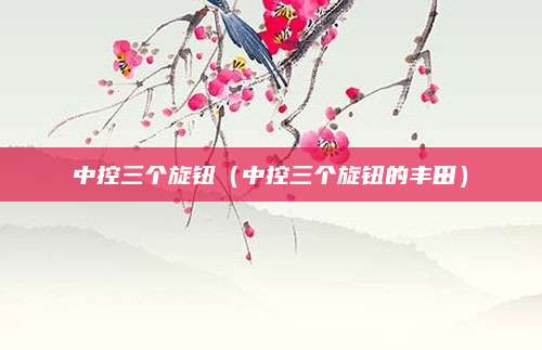 中控三个旋钮(中控三个旋钮的丰田)