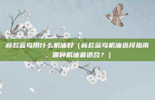 新款蓝鸟用什么机油好(新款蓝鸟机油选择指南,哪种机油最适合?)