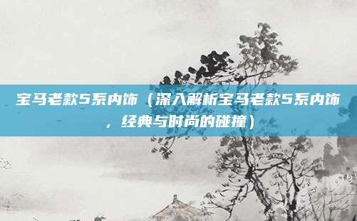 宝马老款5系内饰(深入解析宝马老款5系内饰,经典与时尚的碰撞)