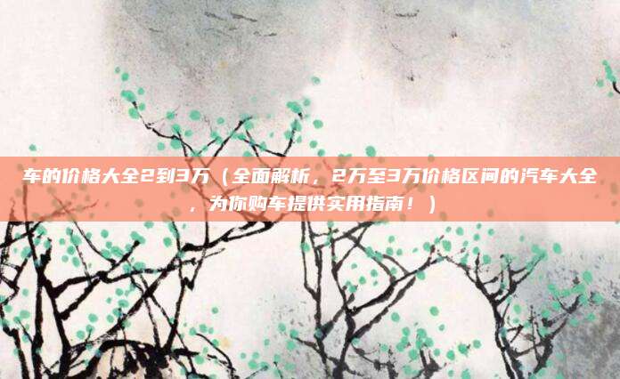 车的价格大全2到3万(全面解析,2万至3万价格区间的汽车大全,为你购车提供实用指南!)