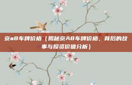 京a8车牌价格(揭秘京A8车牌价格,背后的故事与投资价值分析)