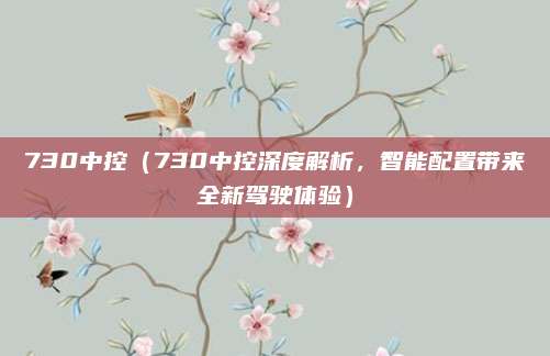 730中控(730中控深度解析,智能配置带来全新驾驶体验)