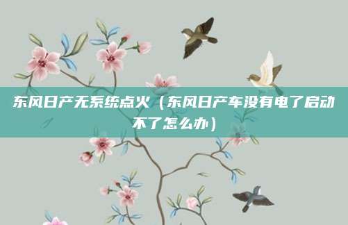 东风日产无系统点火(东风日产车没有电了启动不了怎么办)