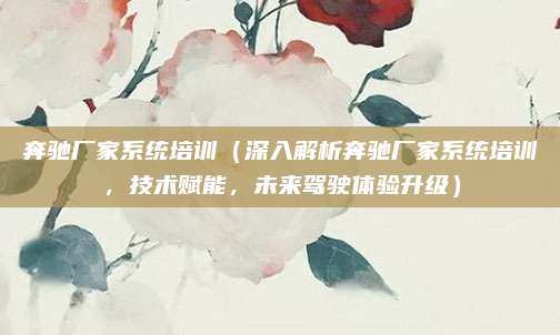 奔驰厂家系统培训(深入解析奔驰厂家系统培训,技术赋能,未来驾驶体验升级)