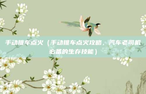 手动推车点火（手动推车点火攻略，汽车老司机必备的生存技能）