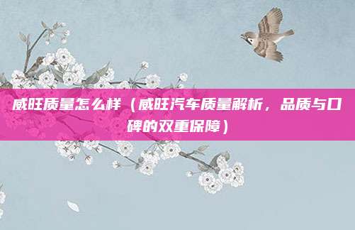 威旺质量怎么样(威旺汽车质量解析,品质与口碑的双重保障)