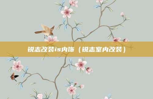 锐志改装is内饰(锐志室内改装)