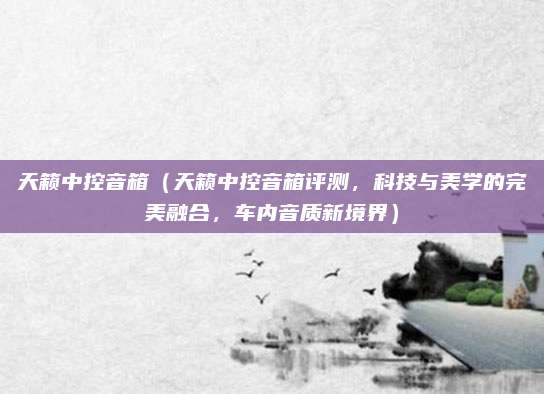 天籁中控音箱(天籁中控音箱评测,科技与美学的完美融合,车内音质新境界)