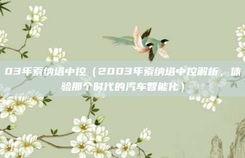 03年索纳塔中控(2003年索纳塔中控解析,体验那个时代的汽车智能化)