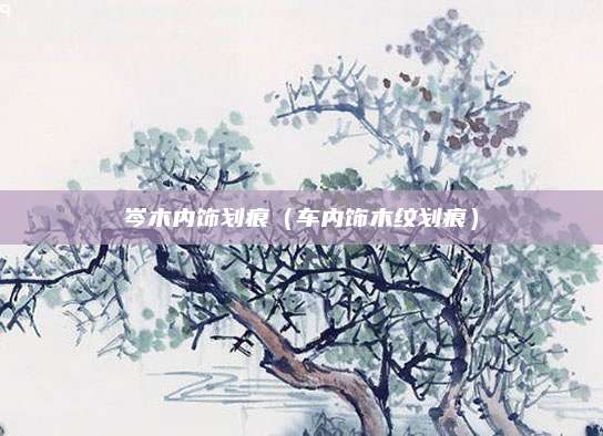 岑木内饰划痕(车内饰木纹划痕)
