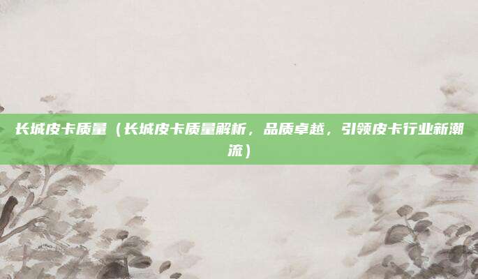 长城皮卡质量(长城皮卡质量解析,品质卓越,引领皮卡行业新潮流)