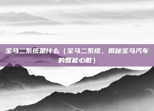 宝马二系统是什么（宝马二系统，揭秘宝马汽车的智能心脏）
