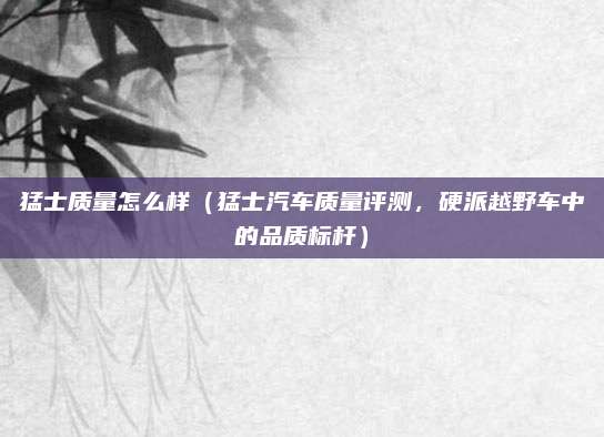 猛士质量怎么样(猛士汽车质量评测,硬派越野车中的品质标杆)
