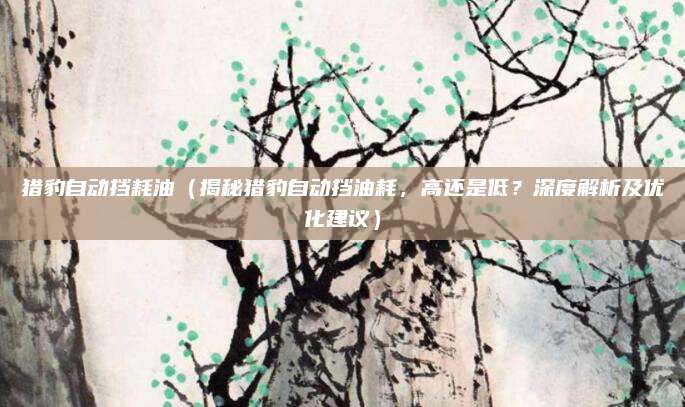 猎豹自动挡耗油(揭秘猎豹自动挡油耗,高还是低?深度解析及优化建议)