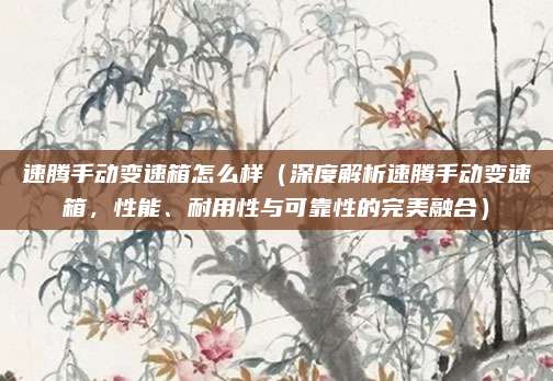 速腾手动变速箱怎么样(深度解析速腾手动变速箱,性能、耐用性与可靠性的完美融合)