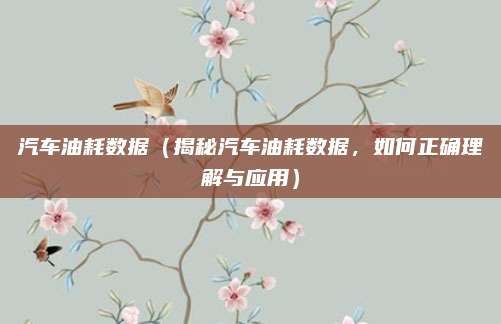 汽车油耗数据(揭秘汽车油耗数据,如何正确理解与应用)