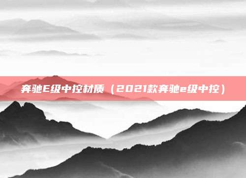 奔驰E级中控材质(2021款奔驰e级中控)