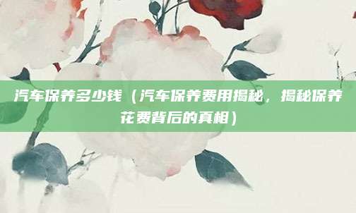 汽车保养多少钱（汽车保养费用揭秘，揭秘保养花费背后的真相）