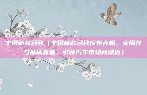 丰田新款逸致(丰田新款逸致惊艳亮相,实用性与品质兼备,引领汽车市场新潮流)