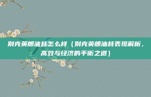 别克英朗油耗怎么样(别克英朗油耗表现解析,高效与经济的平衡之道)