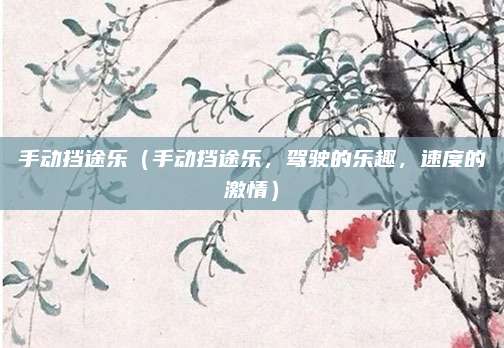 手动挡途乐(手动挡途乐,驾驶的乐趣,速度的激情)