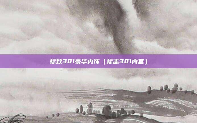 标致301豪华内饰(标志301内室)